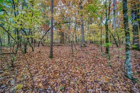 543 Cove Lake Drive