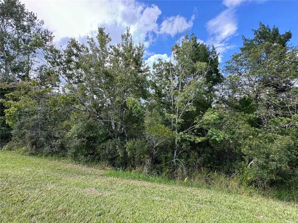 SHELDON STREET Orlando, FL 32833
