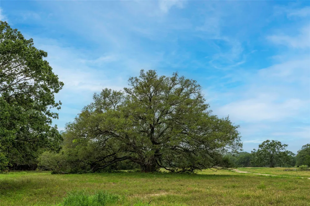 2570 Burke Road Flatonia, TX 78941