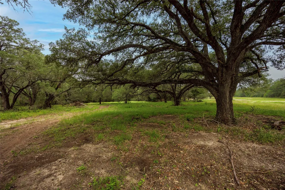 2570 Burke Road Flatonia, TX 78941