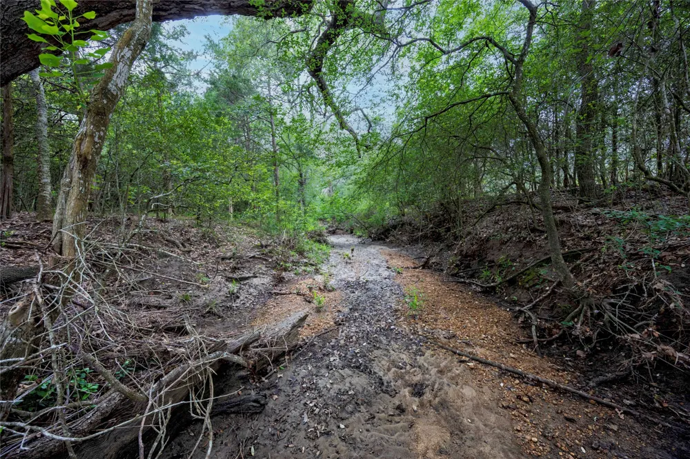 2570 Burke Road Flatonia, TX 78941