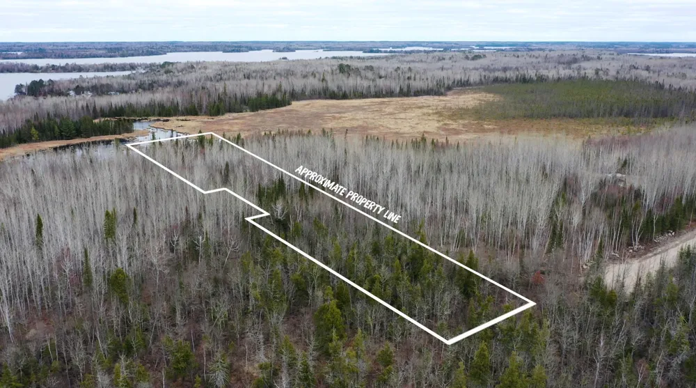 TBD Parcel 15 Hwy 115 Tower, MN 55790