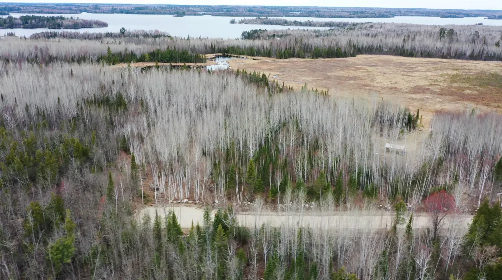 TBD Parcel 15 Hwy 115 Tower, MN 55790