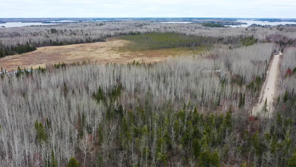 TBD Parcel 15 Hwy 115 Tower, MN 55790