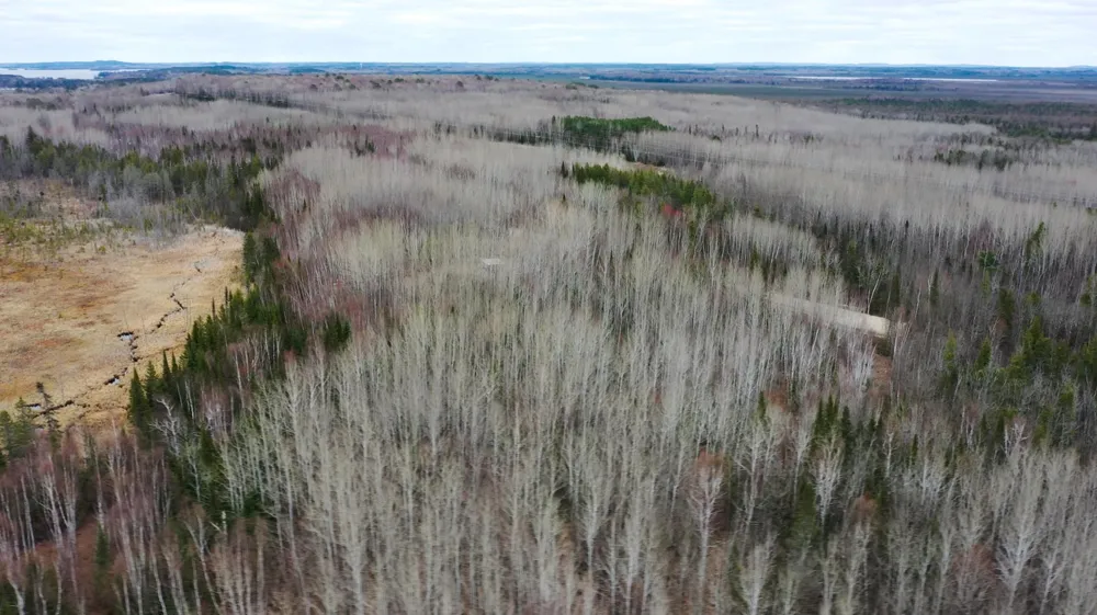 TBD Parcel 15 Hwy 115 Tower, MN 55790