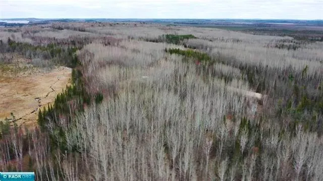 TBD Parcel 15 Hwy 115 Tower, MN 55790
