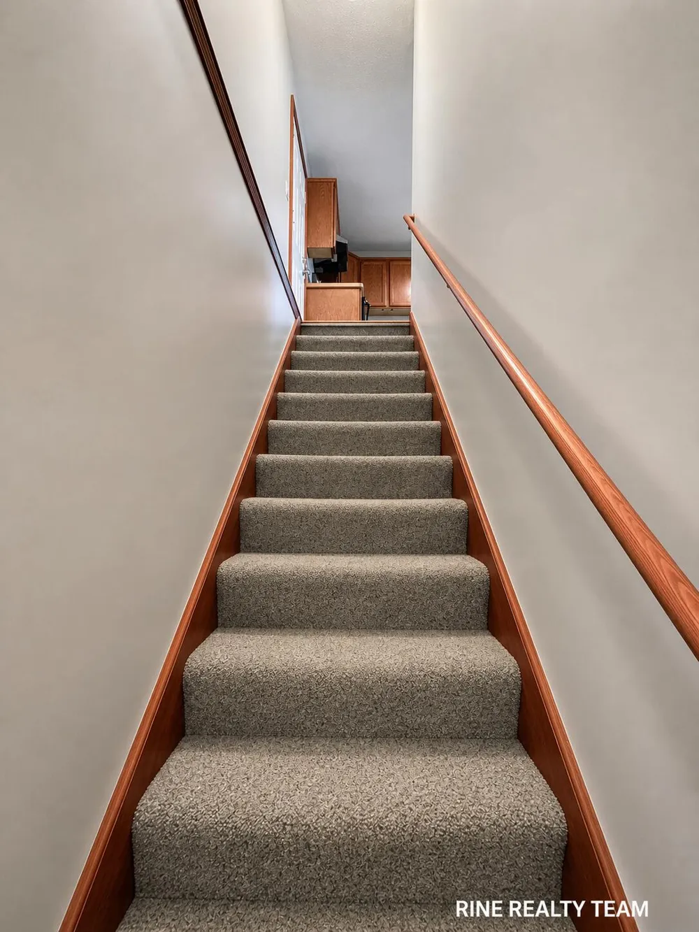 1121 Durango Drive Delta Charter Township, MI 48917