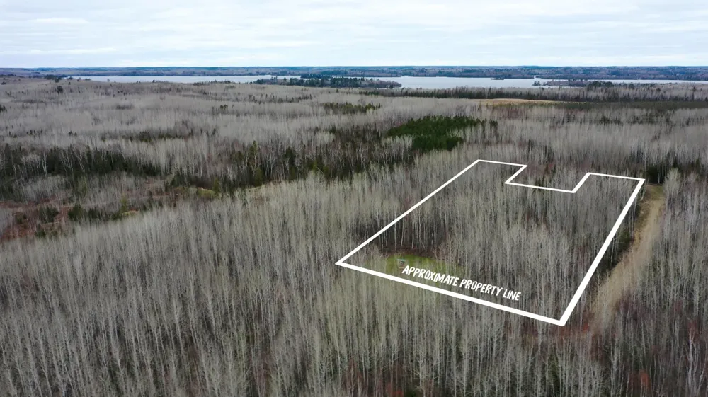 TBD Parcel 20 Hwy 115 Tower, MN 55790