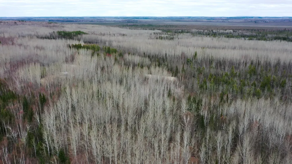 TBD Parcel 20 Hwy 115 Tower, MN 55790