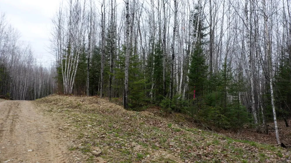 TBD Parcel 20 Hwy 115 Tower, MN 55790