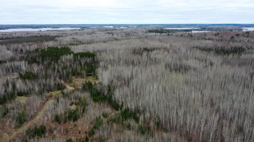 TBD Parcel 20 Hwy 115 Tower, MN 55790