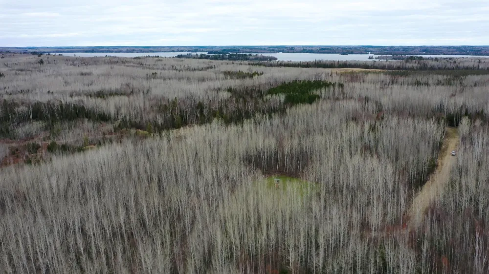 TBD Parcel 20 Hwy 115 Tower, MN 55790