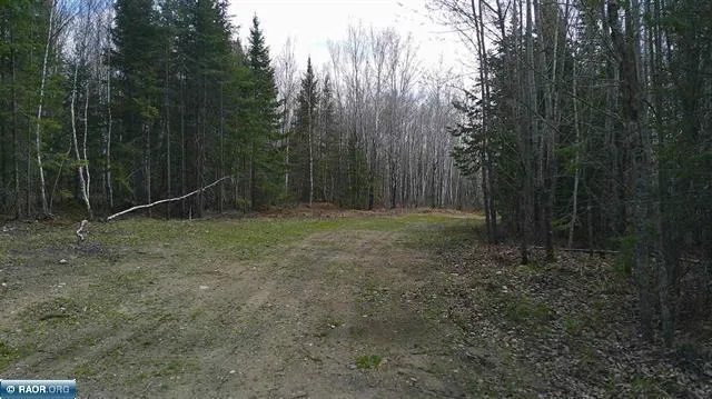 TBD Parcel 20 Hwy 115 Tower, MN 55790