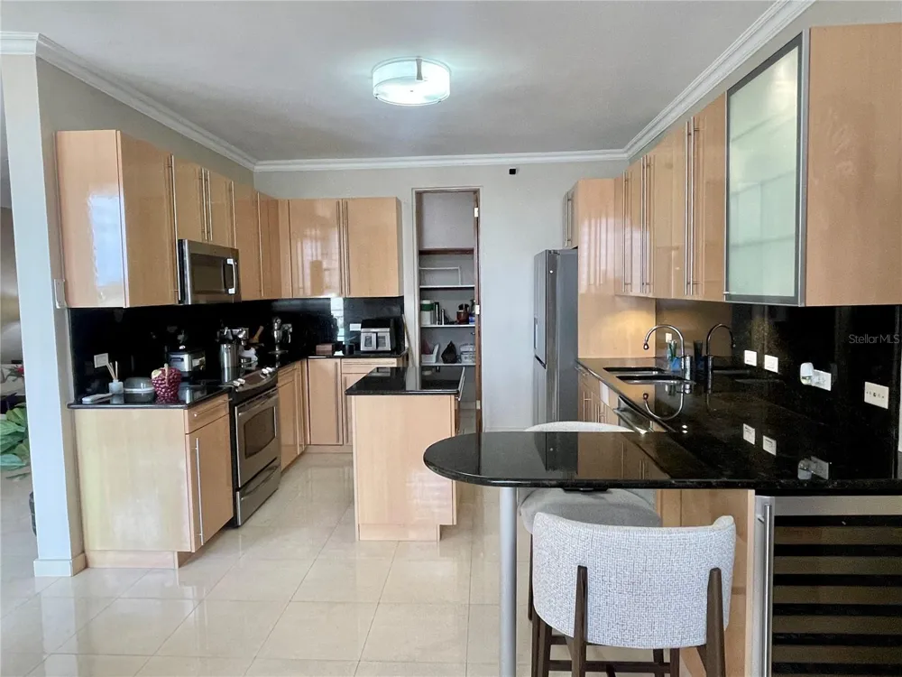 Palma Real Avenue MURANO LUXURY APARTMENTS #8 Guaynabo, PR 00969