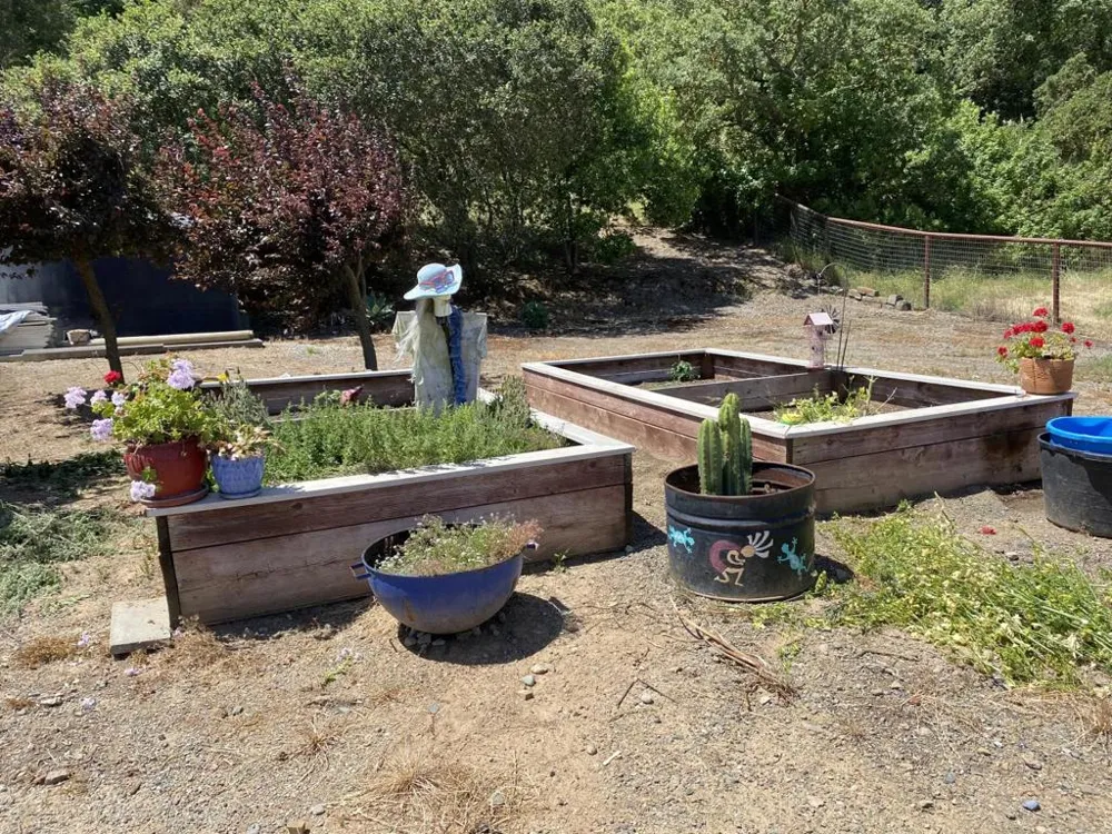 19963 Hale Avenue Morgan Hill, CA 95037