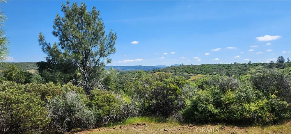 Hummer Road Forest Ranch, CA 95942