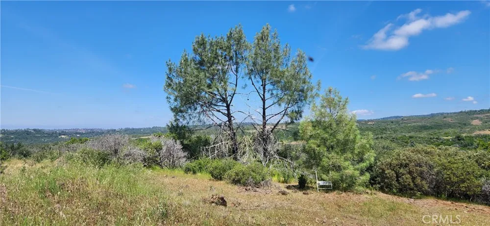 Hummer Road Forest Ranch, CA 95942