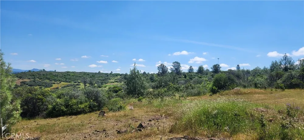 Hummer Road Forest Ranch, CA 95942