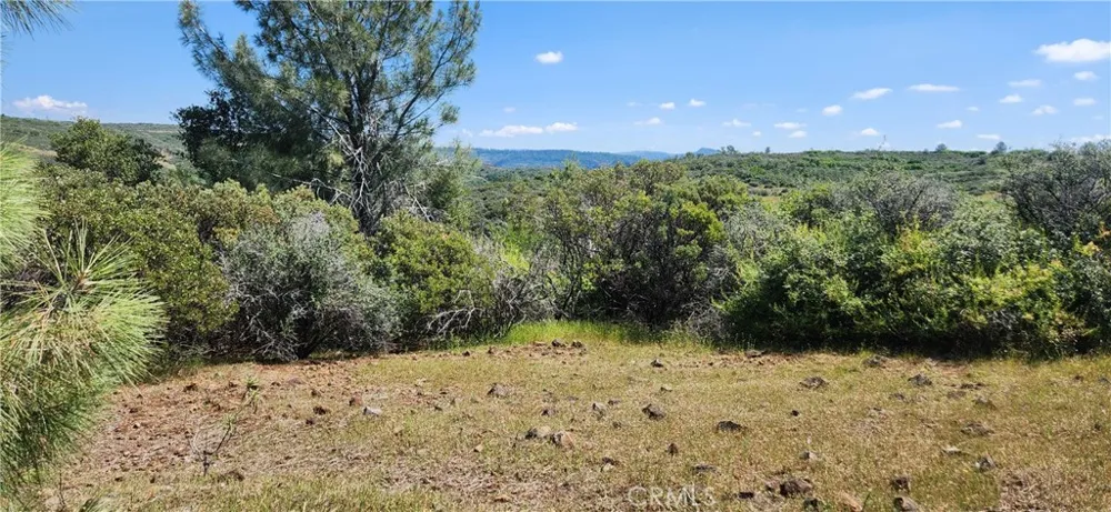 Hummer Road Forest Ranch, CA 95942