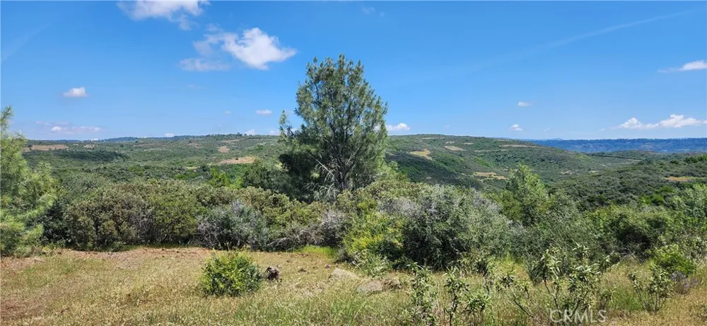 Hummer Road Forest Ranch, CA 95942
