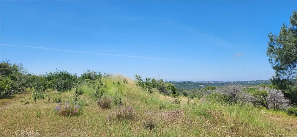 Hummer Road Forest Ranch, CA 95942