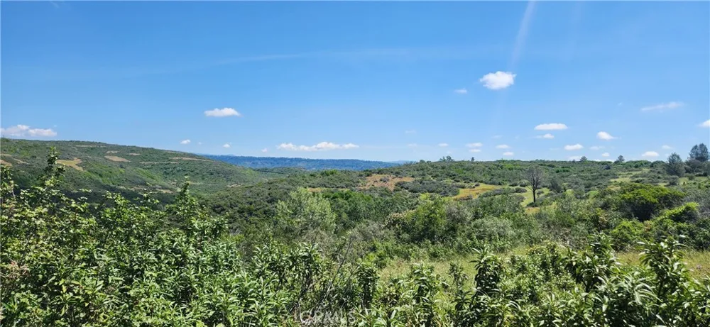 Hummer Road Forest Ranch, CA 95942