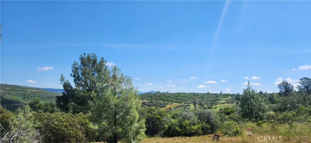 Hummer Road Forest Ranch, CA 95942