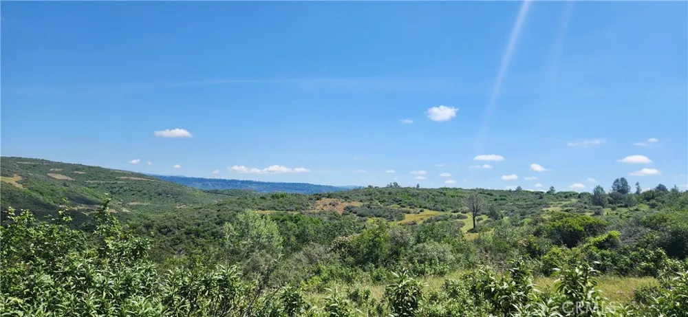 Hummer Road Forest Ranch, CA 95942
