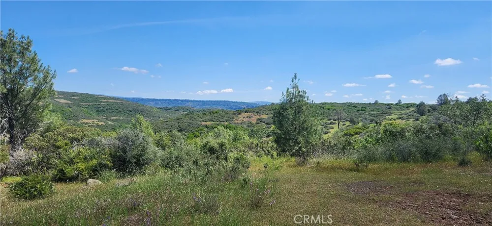 Hummer Road Forest Ranch, CA 95942