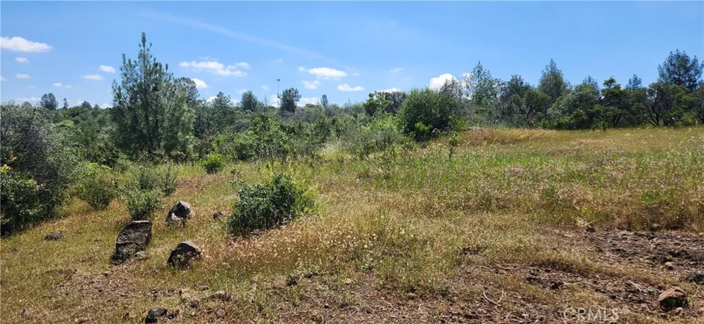 Hummer Road Forest Ranch, CA 95942
