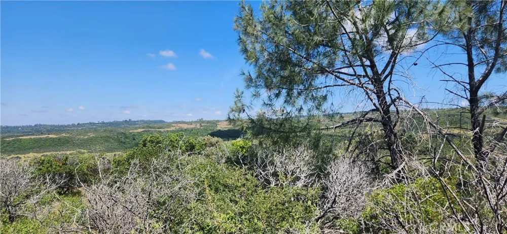 Hummer Road Forest Ranch, CA 95942