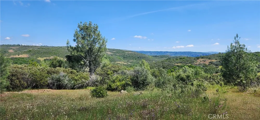 Hummer Road Forest Ranch, CA 95942