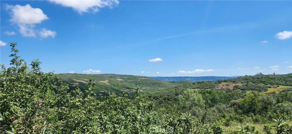 Hummer Road Forest Ranch, CA 95942