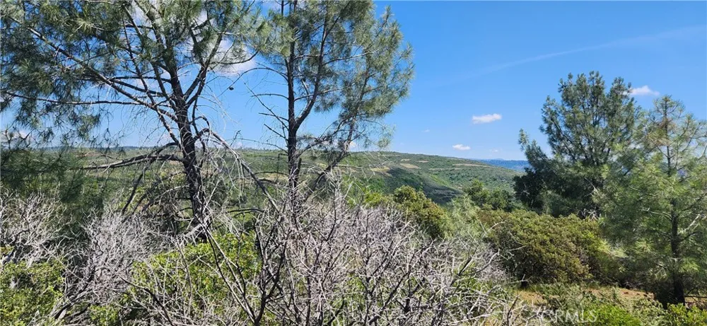 Hummer Road Forest Ranch, CA 95942