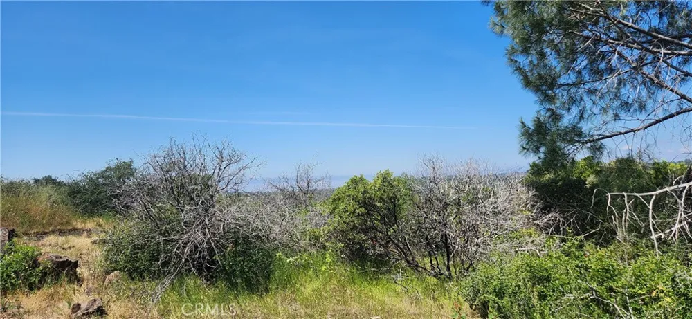 Hummer Road Forest Ranch, CA 95942