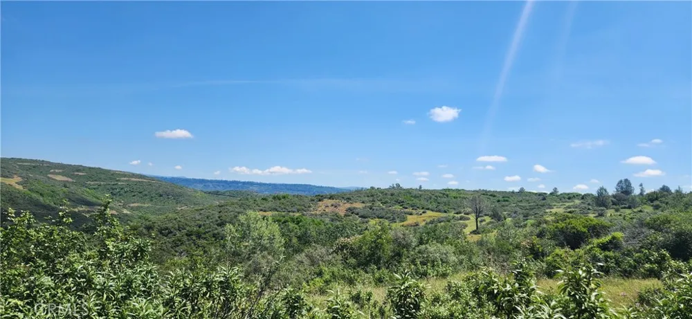 Hummer Road Forest Ranch, CA 95942