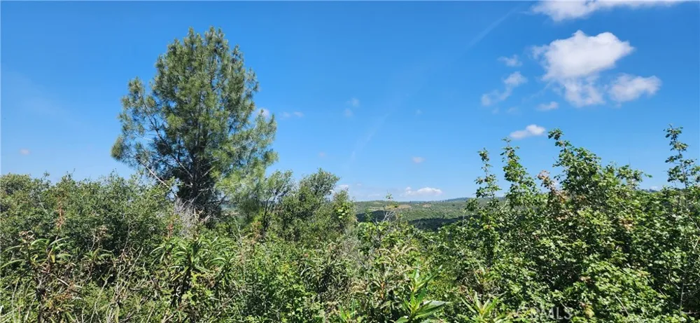 Hummer Road Forest Ranch, CA 95942