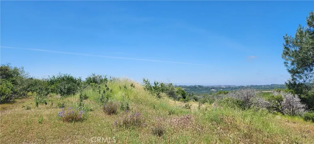 Hummer Road Forest Ranch, CA 95942