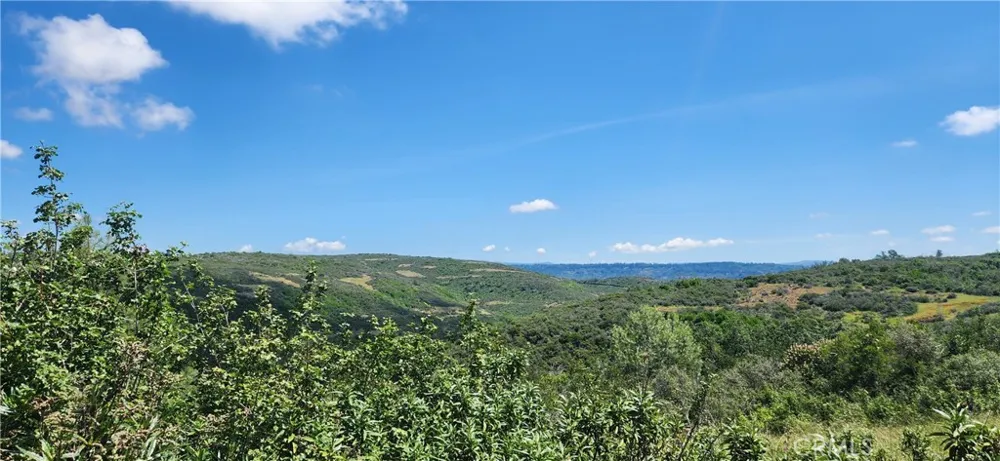 Hummer Road Forest Ranch, CA 95942