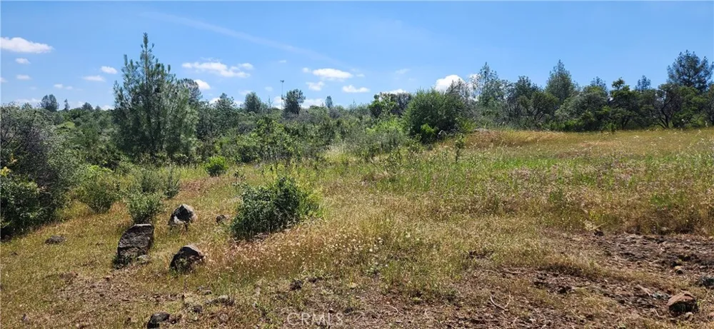 Hummer Road Forest Ranch, CA 95942