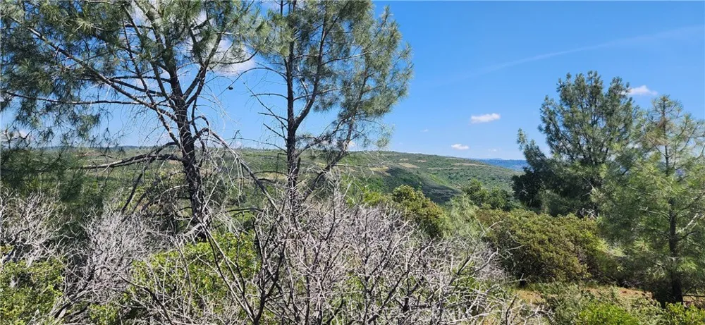 Hummer Road Forest Ranch, CA 95942