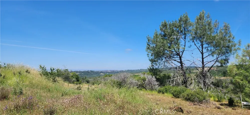 Hummer Road Forest Ranch, CA 95942