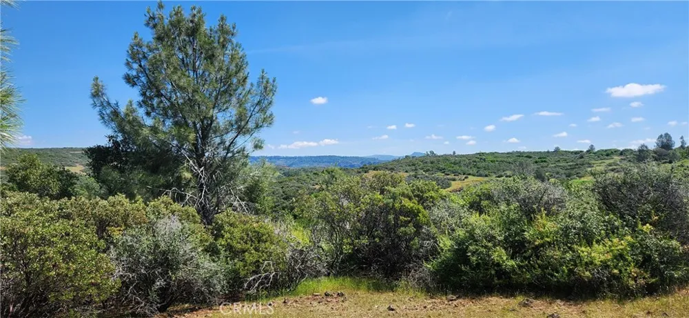 Hummer Road Forest Ranch, CA 95942