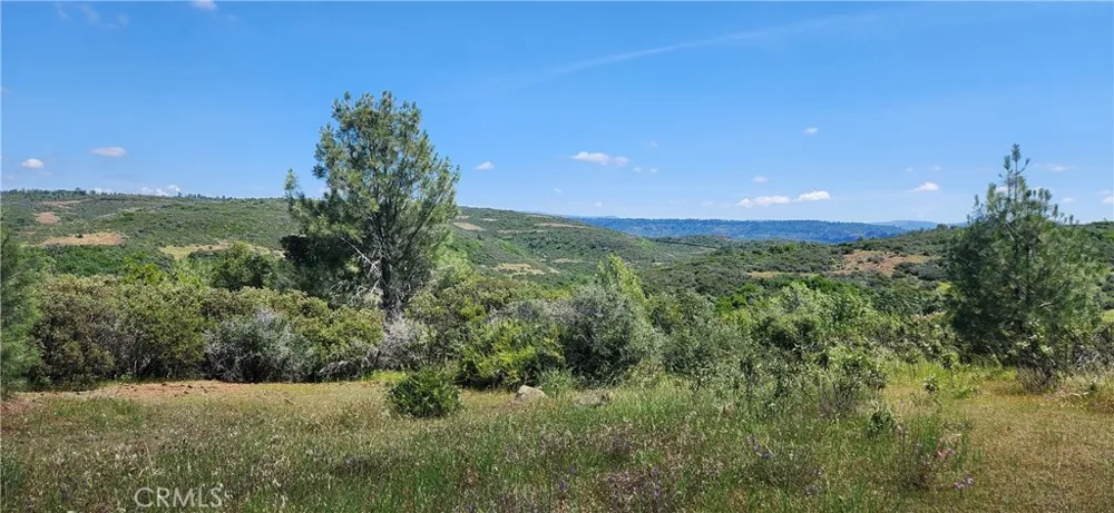 Hummer Road Forest Ranch, CA 95942