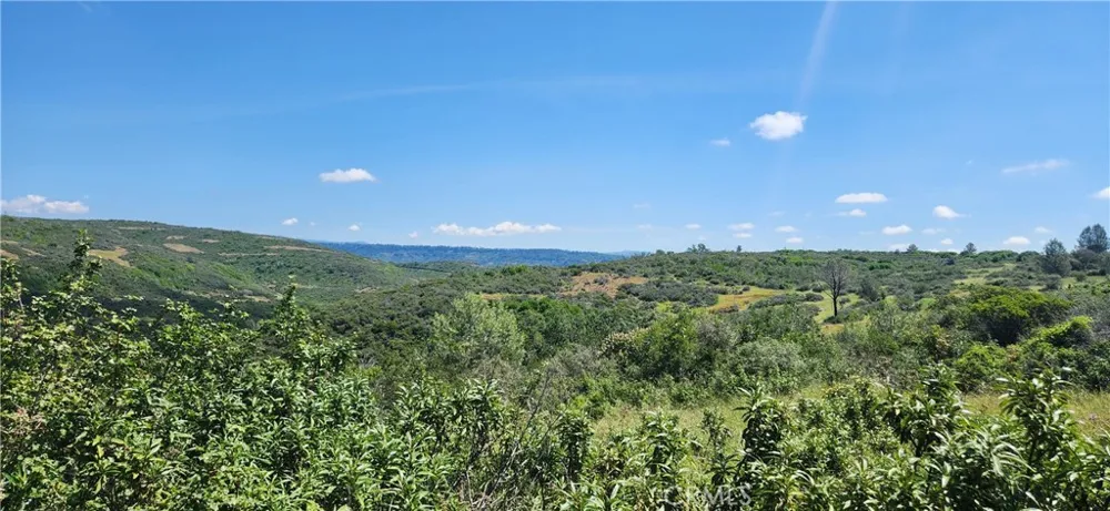 Hummer Road Forest Ranch, CA 95942