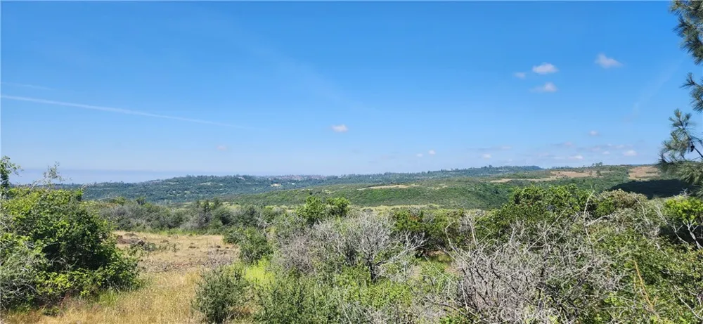 Hummer Road Forest Ranch, CA 95942