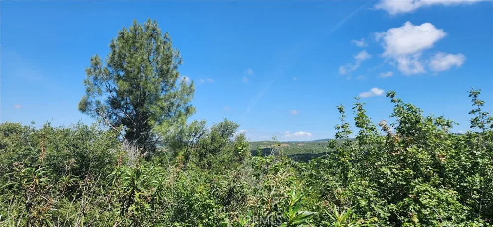 Hummer Road Forest Ranch, CA 95942
