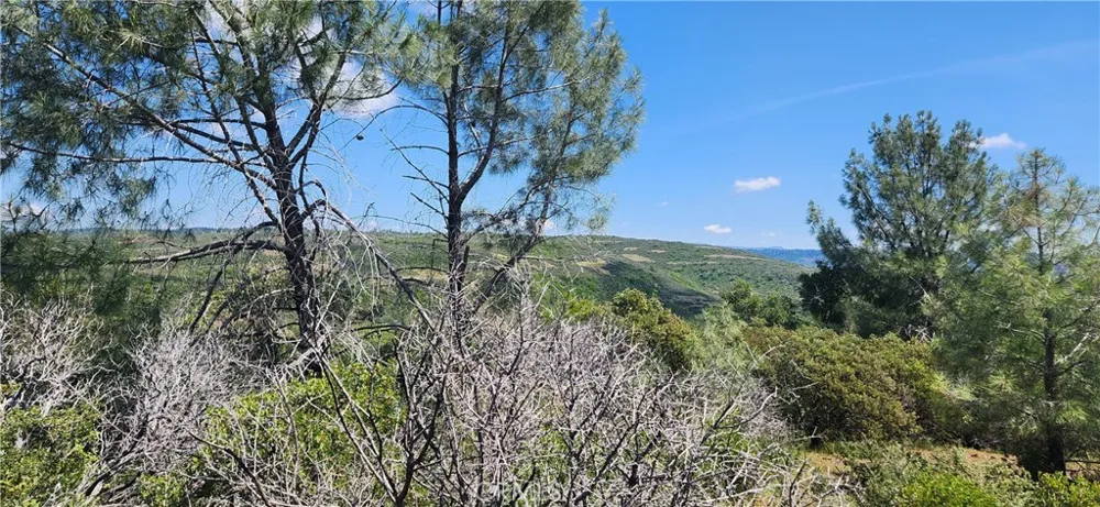 Hummer Road Forest Ranch, CA 95942