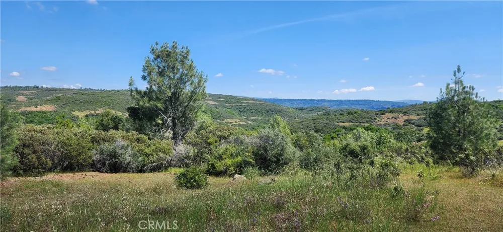 Hummer Road Forest Ranch, CA 95942