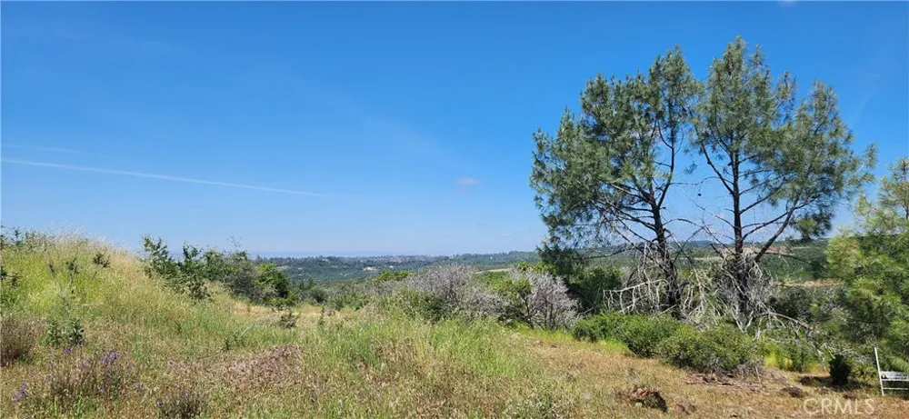 Hummer Road Forest Ranch, CA 95942